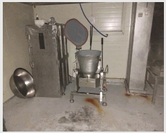  2025Ÿ195   Ҽ 踮 1347      