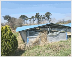  2025Ÿ204   ˵  715      (󰡽ü)