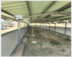  2025Ÿ204   ˵  715      (󰡽ü)