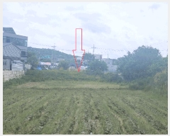  2025Ÿ212  ξȱ ξ ܸ 555-2      (1)