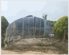  2025Ÿ212  ξȱ ȸ ź 470-20      (1)