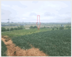  2025Ÿ212  ξȱ ȸ ź 470-20      (1)