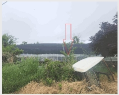  2025Ÿ212  ξȱ ȸ ź 470-20      (1)