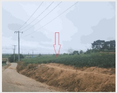  2025Ÿ212  ξȱ ȸ ź 470-20      (1)