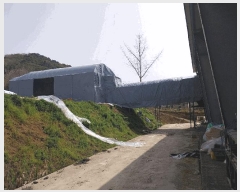  2025Ÿ��213  ������