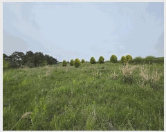  2025Ÿ��224 ���� �ξȱ� ���ȸ� ���Լ��� 440-5      ����(��1)���