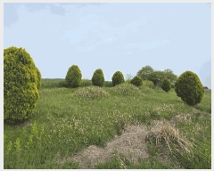  2025Ÿ��224 ���� �ξȱ� ���ȸ� ���Լ��� 440-5      ����(��1)���