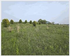  2025Ÿ��224 ���� �ξȱ� ���ȸ� ���Լ��� 440-5      ����(��1)���