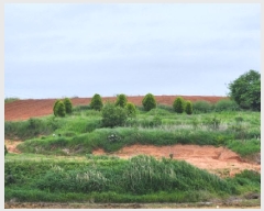  2025Ÿ��224 ���� �ξȱ� ���ȸ� ���Լ��� 440-5      ����(��1)���