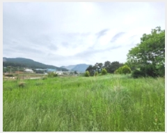  2025Ÿ��224 ���� �ξȱ� ���ȸ� ���Լ��� 440-5      ����(��1)���