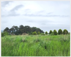  2025Ÿ��224 ���� �ξȱ� ���ȸ� ���Լ��� 440-5      ����(��1)���