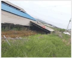  2025Ÿ��230 ���� ������ �ϸ� ������ 1380      ���ð��