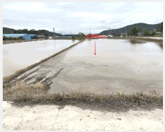  2025Ÿ236  ξȱ ȸ 쵿 811-2      ()