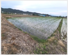  2025Ÿ236  ξȱ ȸ 쵿 811-2      ()