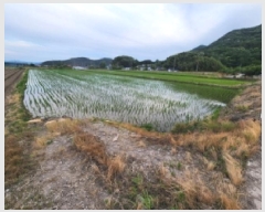  2025Ÿ236  ξȱ ȸ 쵿 811-2      ()