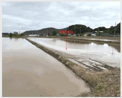  2025Ÿ236  ξȱ ȸ 쵿 811-2      ()