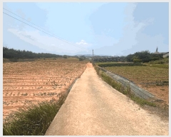  2025Ÿ239  ξȱ  긮 349      ð