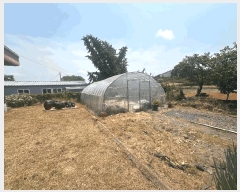  2025Ÿ239  ξȱ  긮 349      ð