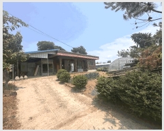  2025Ÿ239  ξȱ  긮 349      ð