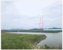  2025Ÿ��250 ���� �ξȱ� ������ ������ ��149-90      ����(�Ӿ�)���