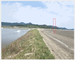  2025Ÿ��250 ���� �ξȱ� ������ ������ ��149-90      ����(�Ӿ�)���