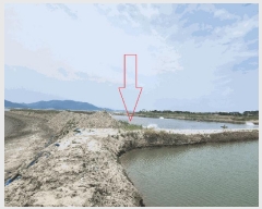  2025Ÿ��250 ���� �ξȱ� ������ ������ ��149-90      ����(�Ӿ�)���