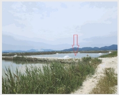  2025Ÿ��250 ���� �ξȱ� ������ ������ ��149-90      ����(�Ӿ�)���