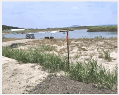  2025Ÿ��254  �Ӿ߰��