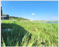  2025Ÿ��254  �Ӿ߰��