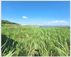  2025Ÿ��254  �Ӿ߰��