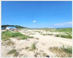  2025Ÿ��254  �Ӿ߰��