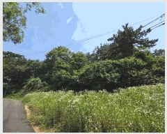  2025Ÿ260  ξȱ ȭ þȸ 24      (Ӿ)