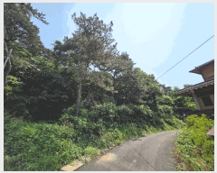  2025Ÿ260  ξȱ ȭ þȸ 24      (Ӿ)