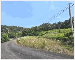  2025Ÿ260  ξȱ ȭ þȸ 24      (Ӿ)