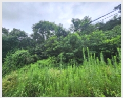  2025Ÿ260  ξȱ ȭ þȸ 24      (Ӿ)