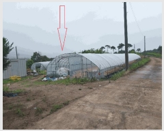  2025Ÿ268  â Ÿ ۿ븮 431-27      (1)