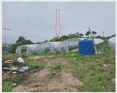  2025Ÿ268  â Ÿ ۿ븮 431-27      (1)