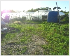  2025Ÿ268  â Ÿ ۿ븮 431-27      (1)