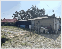  2025Ÿ��270  �������