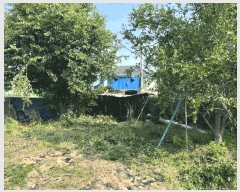  2025Ÿ��270  �������