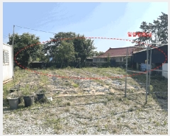  2025Ÿ��270  �������