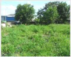  2025Ÿ��270  �������