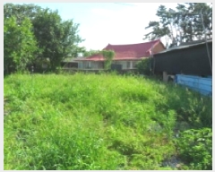  2025Ÿ��270  �������