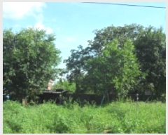  2025Ÿ��270  �������