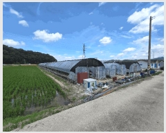  2025Ÿ273   ĥ  1025-2      ()