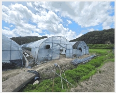  2025Ÿ273   ĥ  1025-2      ()