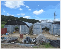  2025Ÿ273   ĥ  1025-2      ()