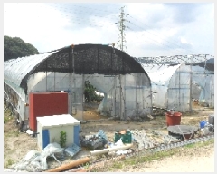  2025Ÿ273   ĥ  1025-2      ()