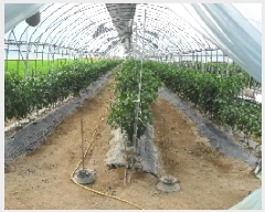  2025Ÿ273   ĥ  1025-2      ()