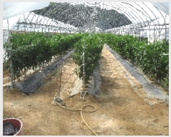  2025Ÿ273   ĥ  1025-2      ()